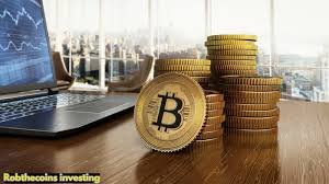 RobTheCoins Investing