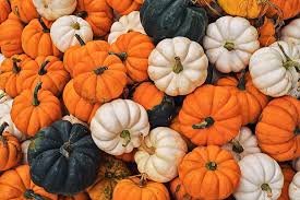 Pumpkin