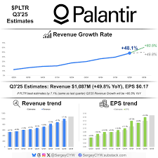 PLTR Earnings
